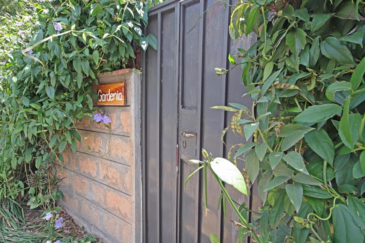 Olesamara Collection Hotell Nanyuki Rom bilde